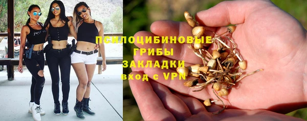 скорость Алексин